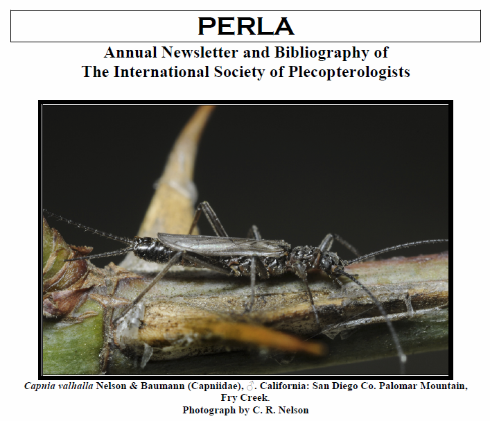 PERLA Annual Newsletter, No. 30, 2012